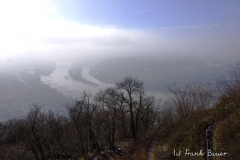 Blick vom Drachenfels Rheinaufwärts